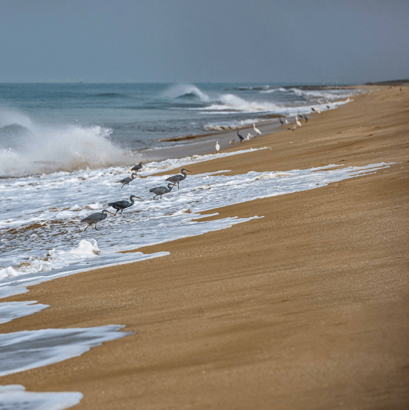 madhavpur-beach