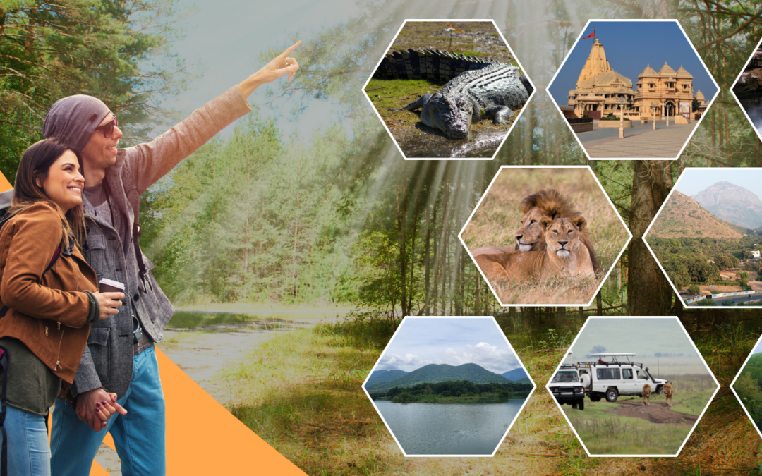 Not Just Lions: Other Beautiful Places to Explore Near Sasan Gir