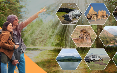 Not Just Lions: Other Beautiful Places to Explore Near Sasan Gir