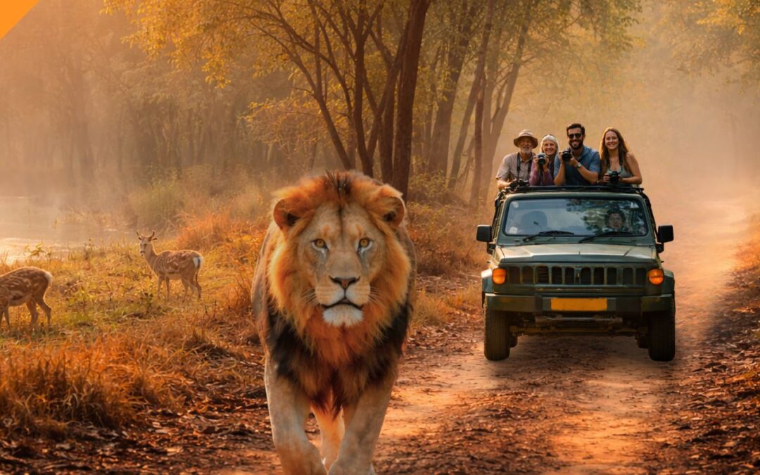 Don’t Miss a Thing! Easy Tips for Your Gir National Park Visit